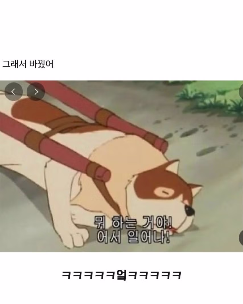 회사에서 내 프사 바꾸래 2