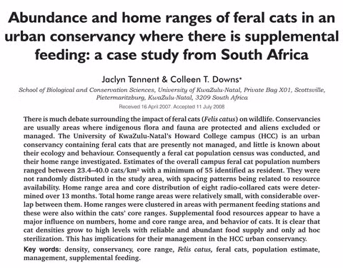 재개발 현장에서 길고양이가 못 떠나는 진짜 EU? 1