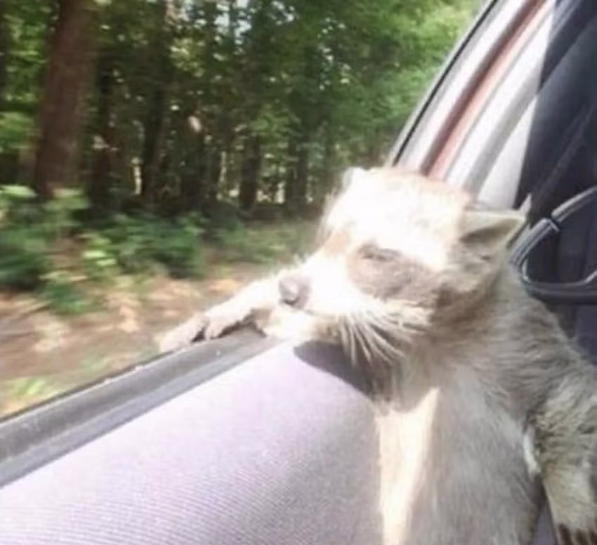 최근 핫플레이스가 된 청주 ㅋㅋㅋㅋ 6