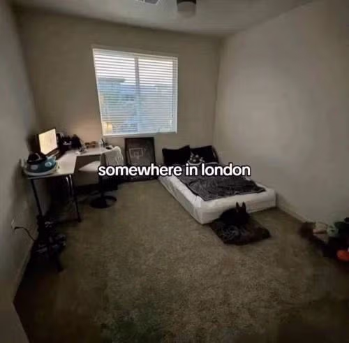 전세계의 대충 잠만 자면 되는 사람들의 침실 8