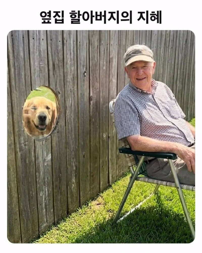 이웃 간 소음 문제를 해결한 할아버지 3