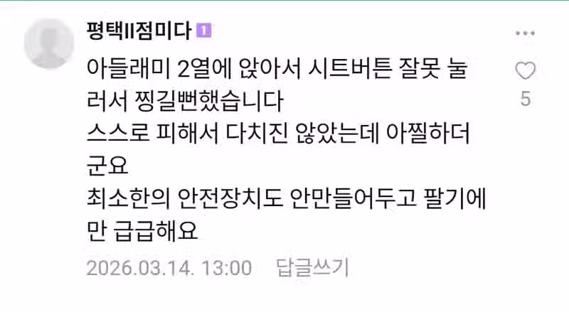 심각한 현대 팰리세이드 전동시트 사망사고 3