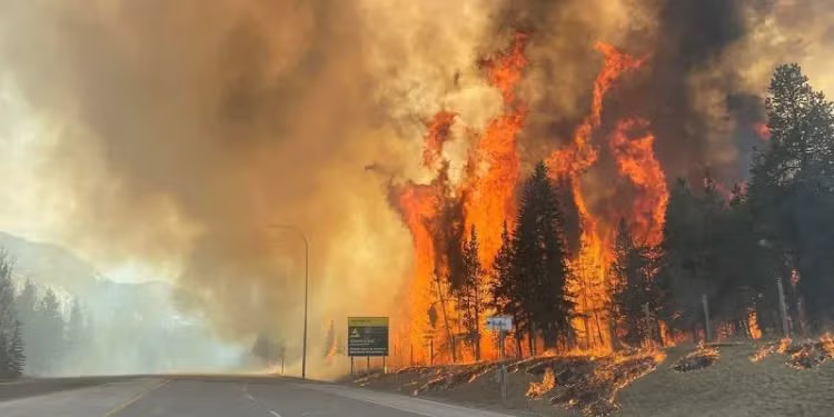 여성 소방관 컨퍼런스 훈련 중 대형화재, 주민 대피 6