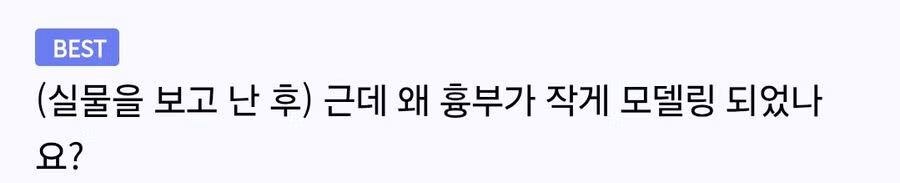 가슴이 크게 모델링되었다는 여성 방송인 4