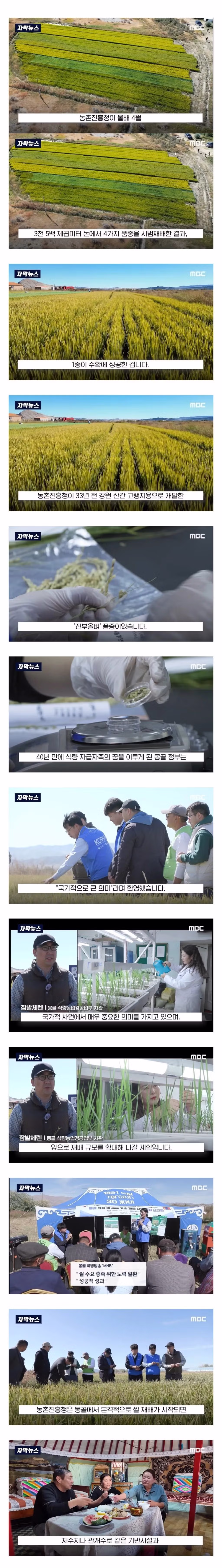 몽골이 한국을 좋아하는 이유 4