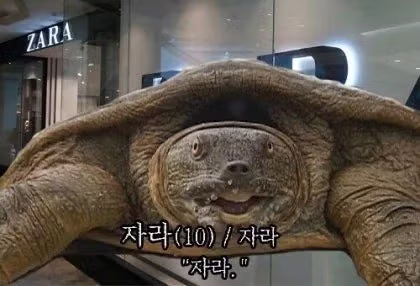 오늘자 한강 근황 ㄷㄷㄷ.jpg 7