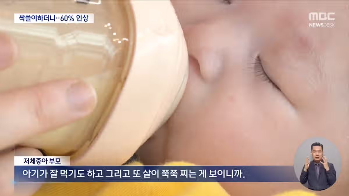 싹쓸이한 분유 가격이‥"쿠팡, 부모 마음 이용" 5