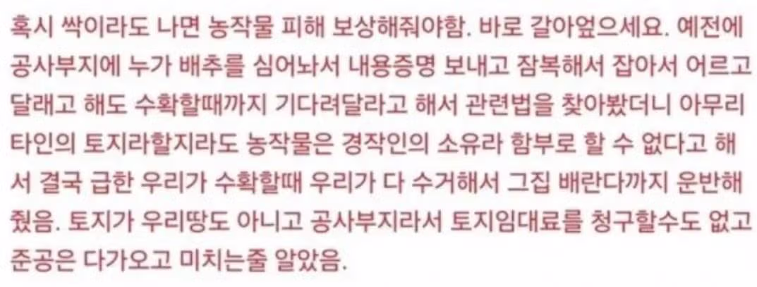내 땅에 무단으로 농사 지으면 무조건 막아야 하는 이유 2