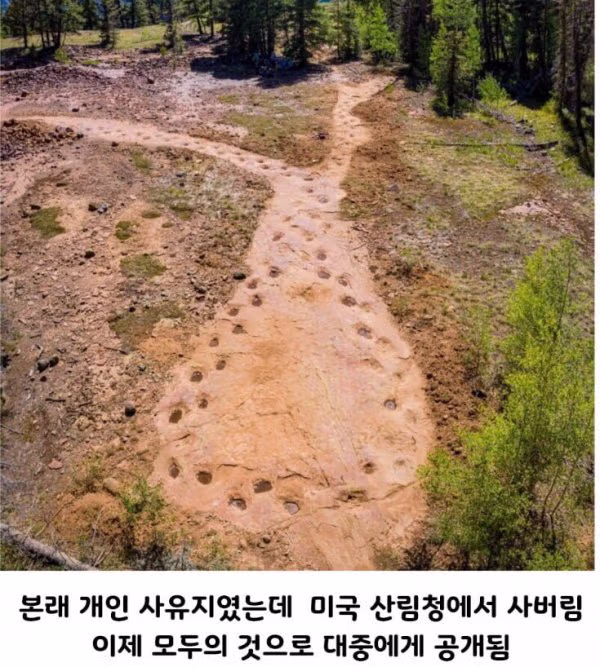 고민이 많아 보였던 공룡의 발자국.jpg 2