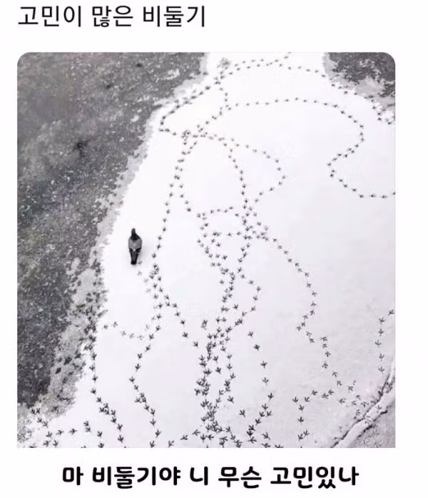 고민이 많아 보였던 공룡의 발자국.jpg 3