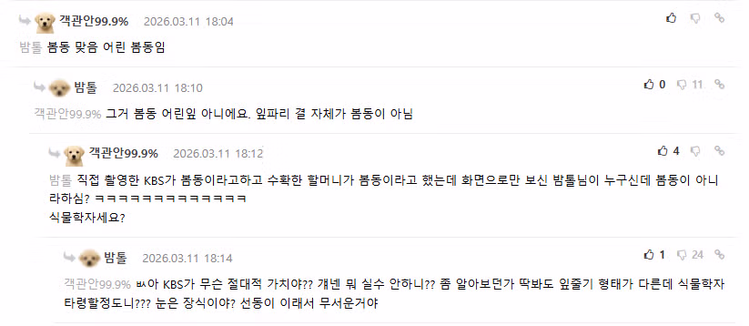 다시보면 복창 터지는 "봄동이 아니다" 열사.... 3