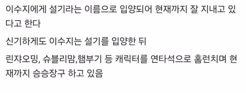 안락삶 당한 흰둥이 3