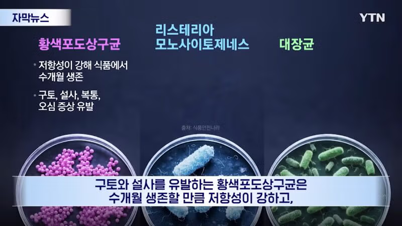 유명 마라탕이 세균탕 6