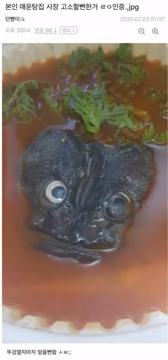 매운탕집 사장 고소할뻔했다는 디씨인.jpg 2