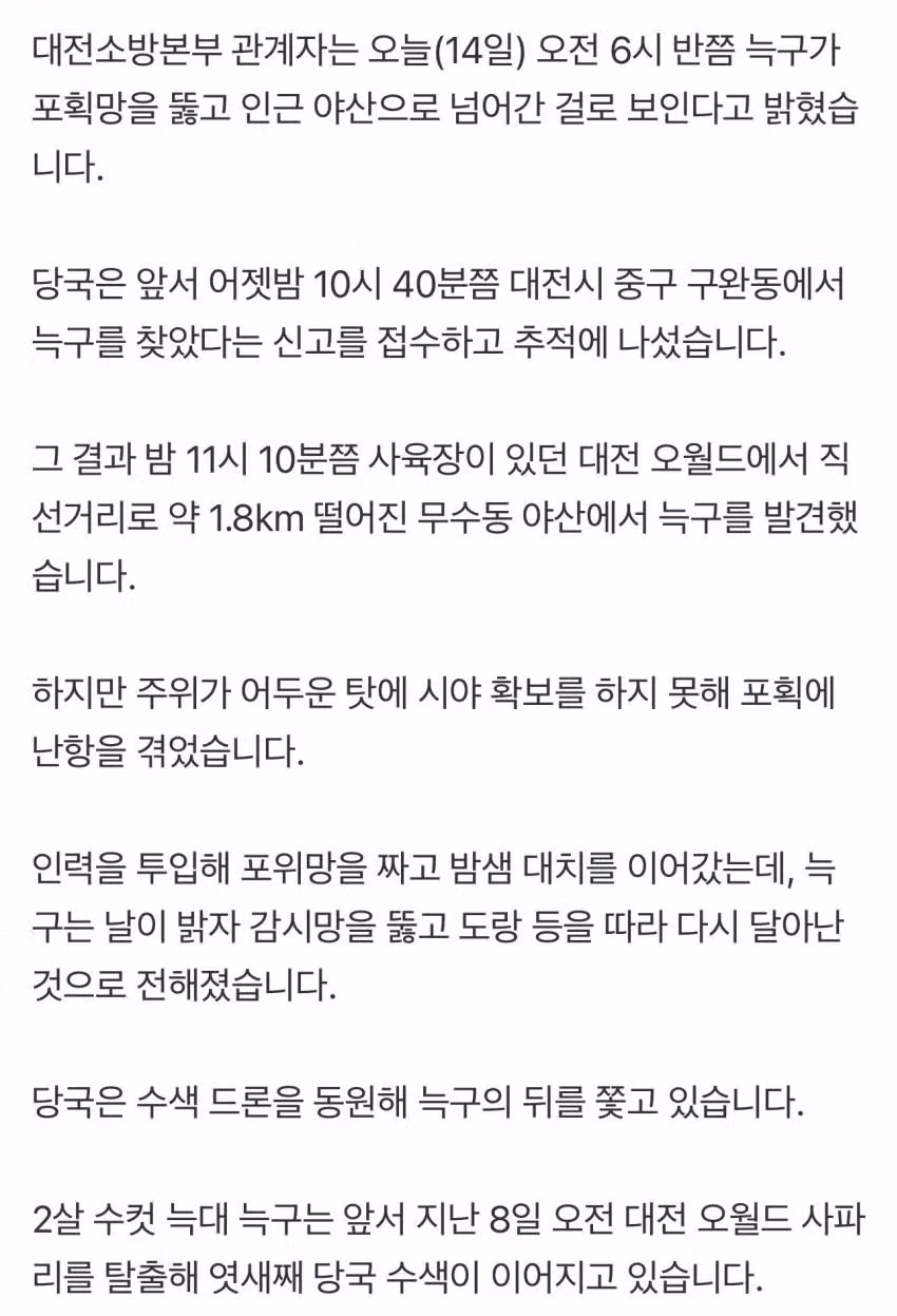 대전 동물원 탈출한 늑구…"포위망 뚫고 다시 달아나" 2