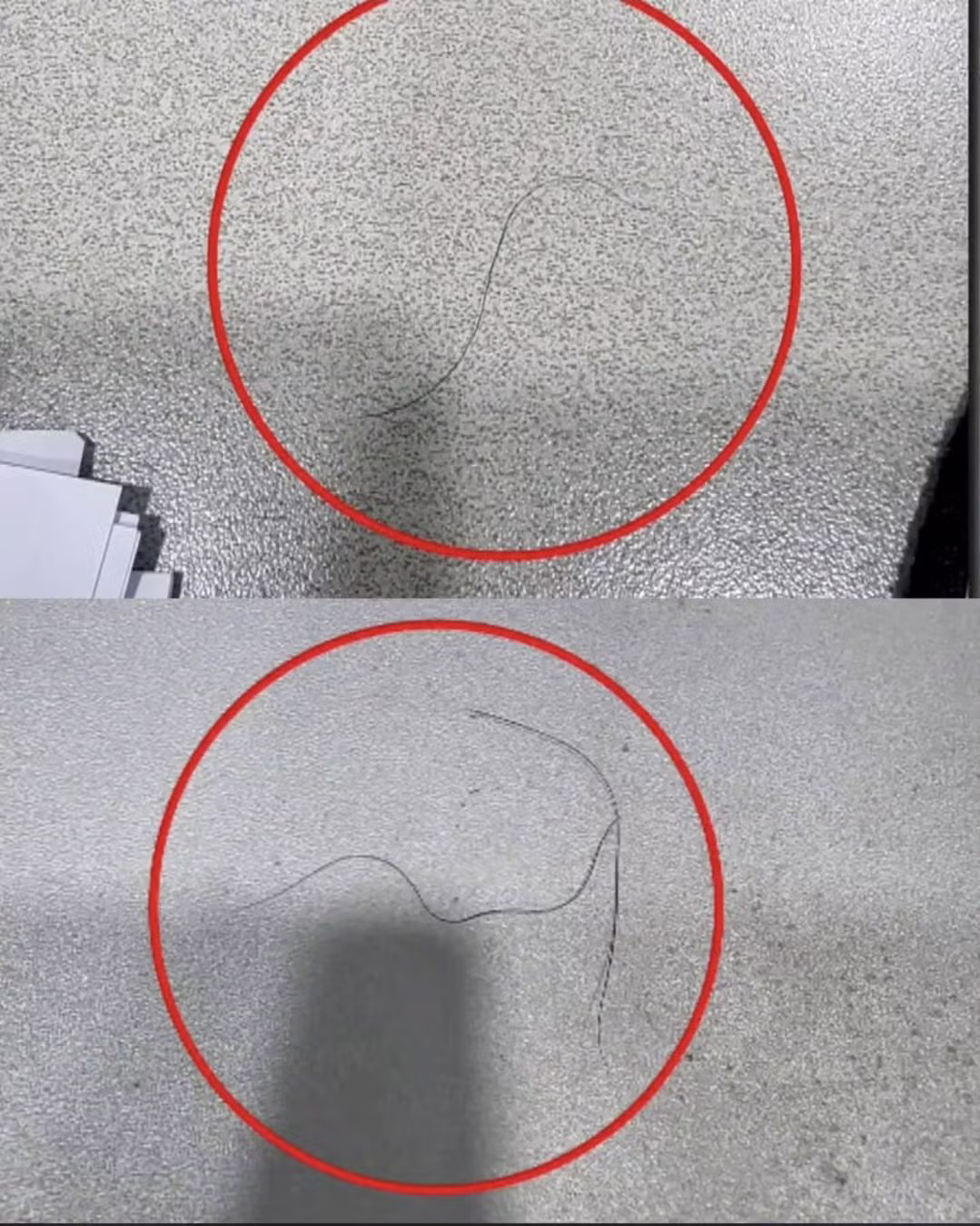 DNA를 주고 싶었던 회사 임원 2