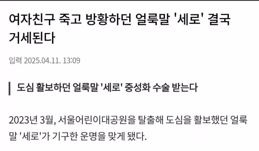 늑구야! 넌 잡히면 안된다!!! 2