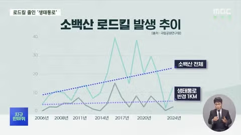 로드킬 줄이는 생태통로‥'없는 곳과 있는 곳 확실히 달랐다' 5