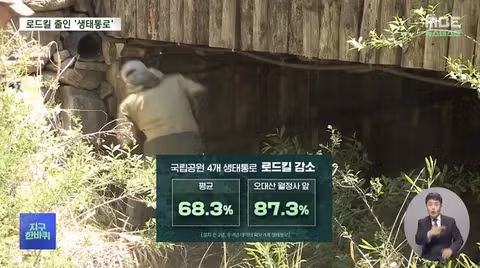로드킬 줄이는 생태통로‥'없는 곳과 있는 곳 확실히 달랐다' 6