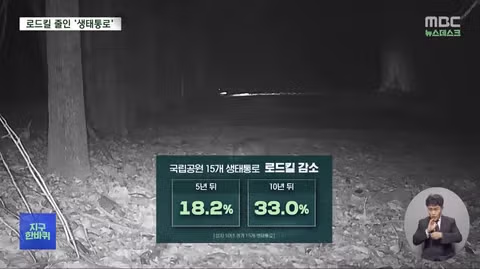 로드킬 줄이는 생태통로‥'없는 곳과 있는 곳 확실히 달랐다' 7