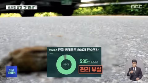 로드킬 줄이는 생태통로‥'없는 곳과 있는 곳 확실히 달랐다' 9