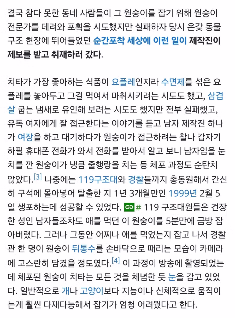 늑구 이전 동물원 탈출 대선배 3