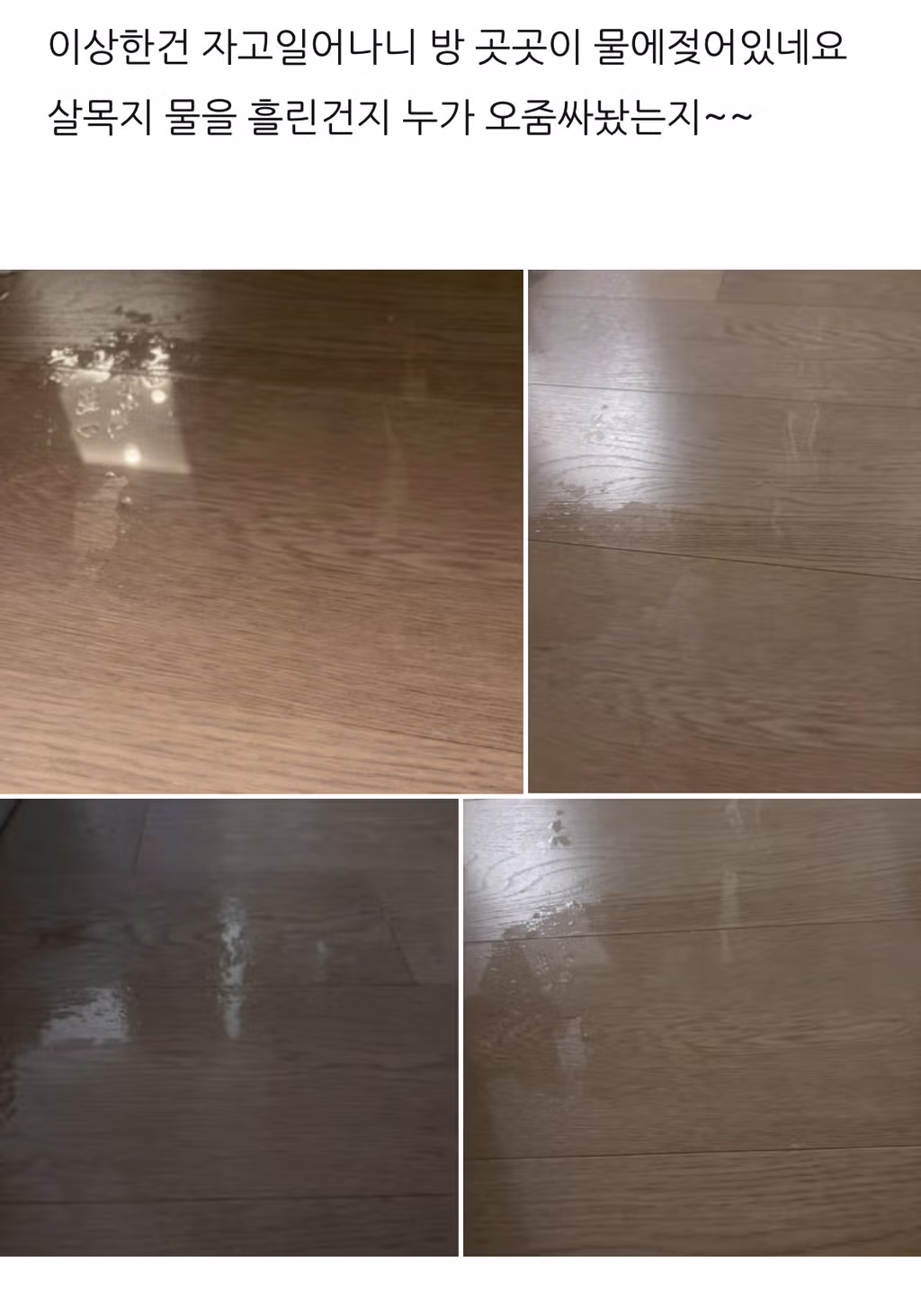 살목지 드라이브 블로그 후기 23