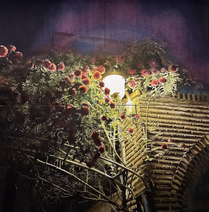 미쳐버린 한국 예술계 근황 4