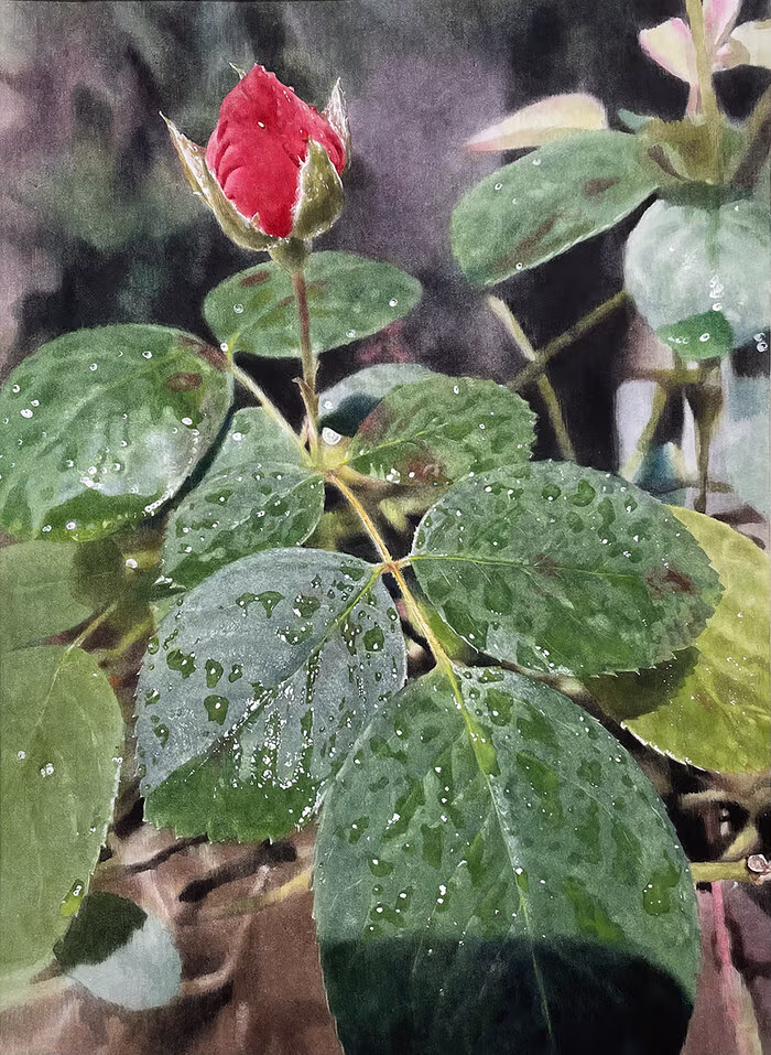 미쳐버린 한국 예술계 근황 5