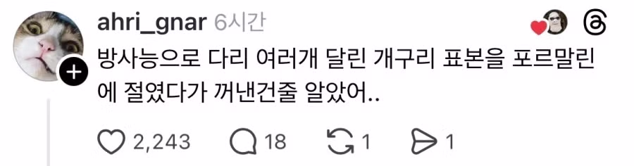 두유로 만든 푸주.jpg 2