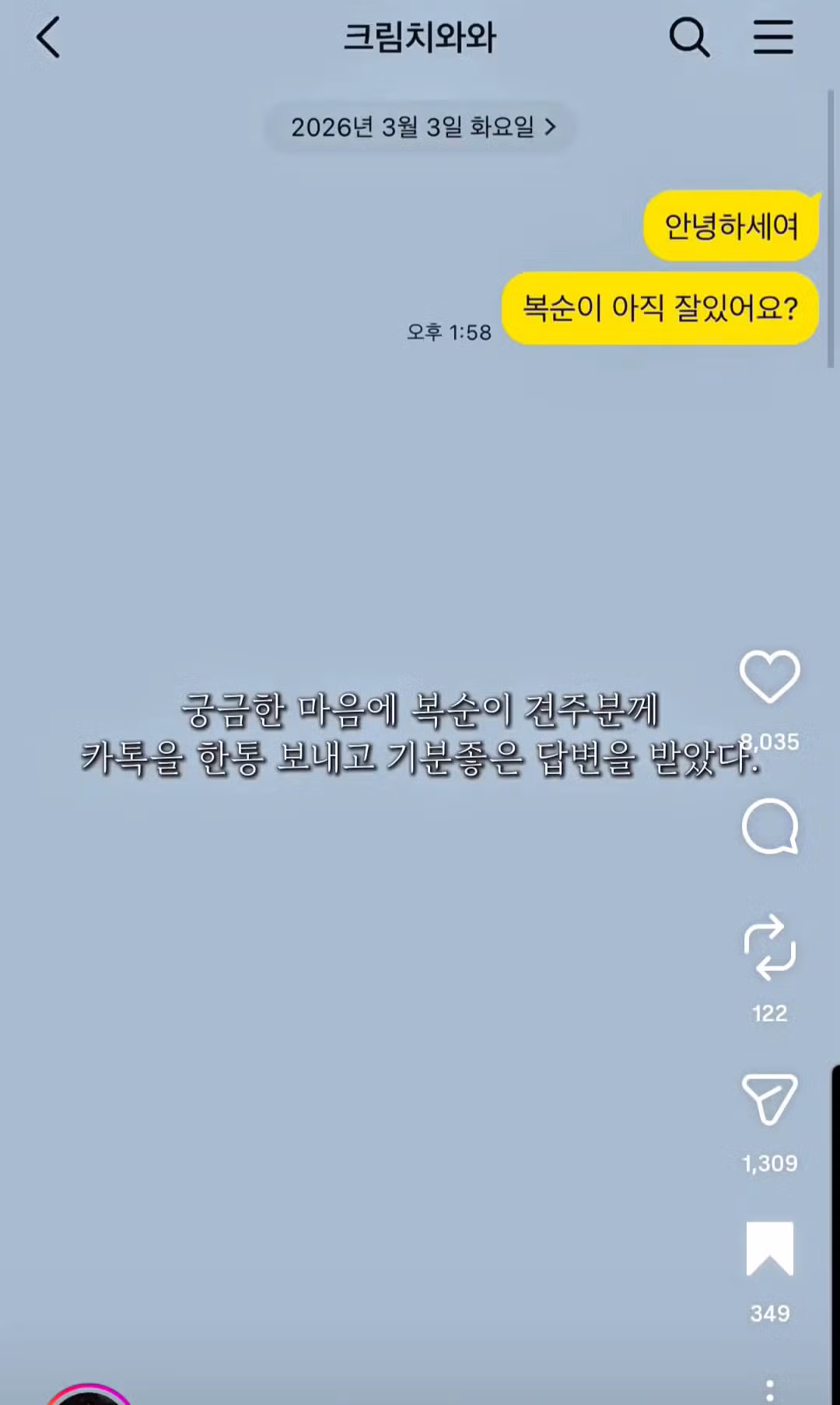 10년전 유기견을 입양했었던 사람한테 다시 연락을 해봤다 3