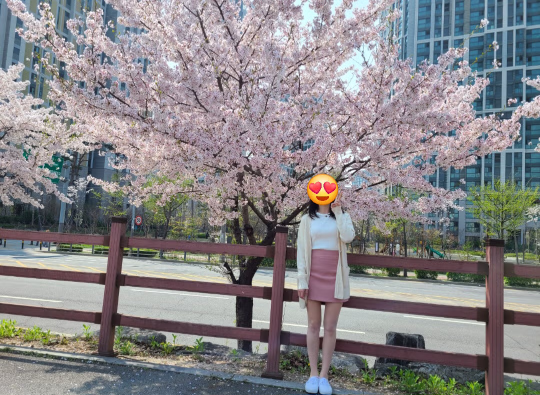 와이프랑 벚꽃 봤던 사진들 3