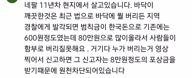 네팔 길거리가 깨끗해진 이유.jpg 2