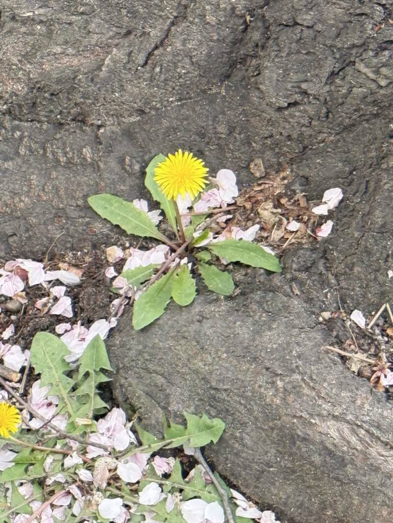 qwer 시요밍 인스타 7