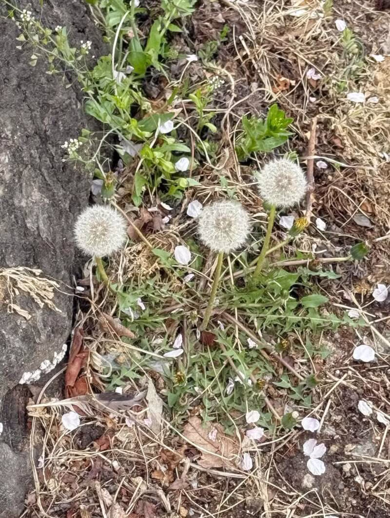 qwer 시요밍 인스타 11