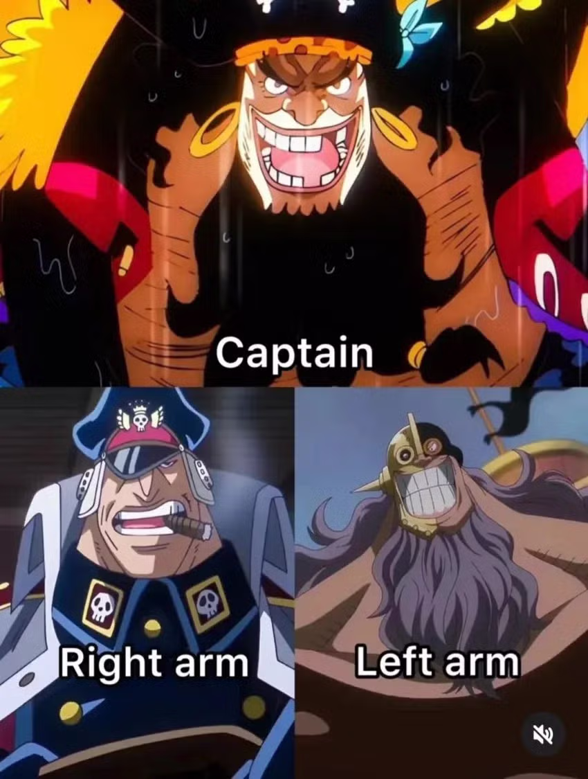 원피스) 선장의 왼팔과 오른팔 2