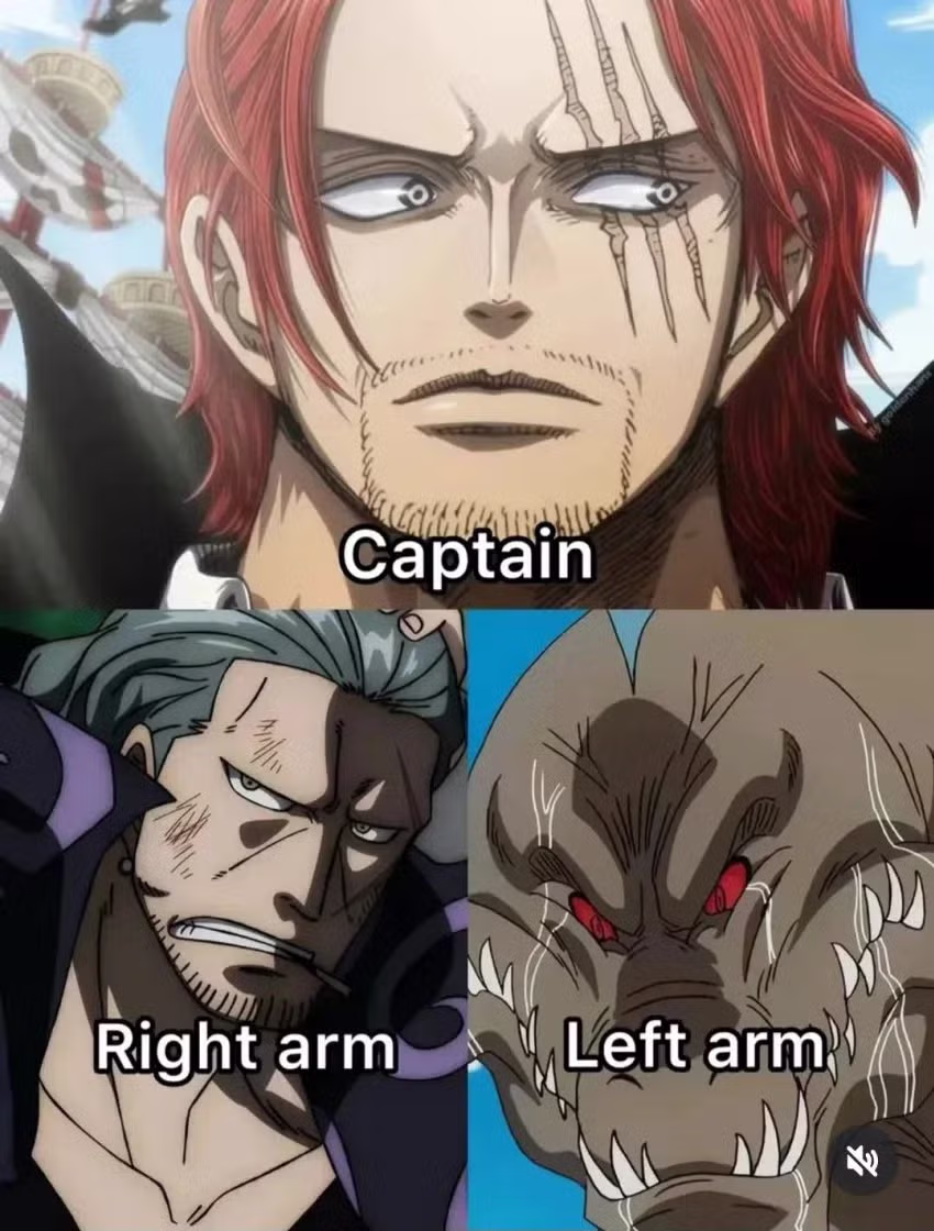 원피스) 선장의 왼팔과 오른팔 3