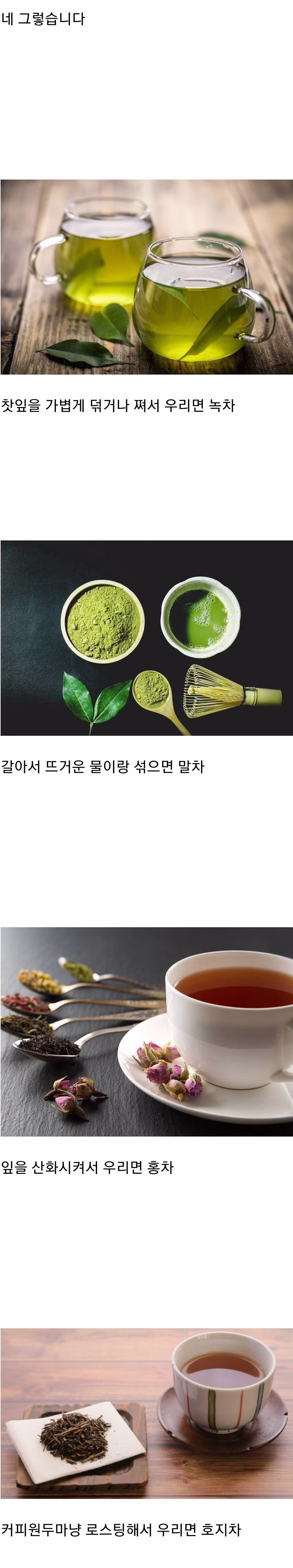 의외로 모르는 사람이 많은 차의 비밀.jpg 2