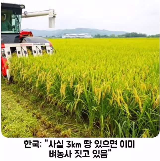 무기 스펙과 테스트 조건 속인 한국 6