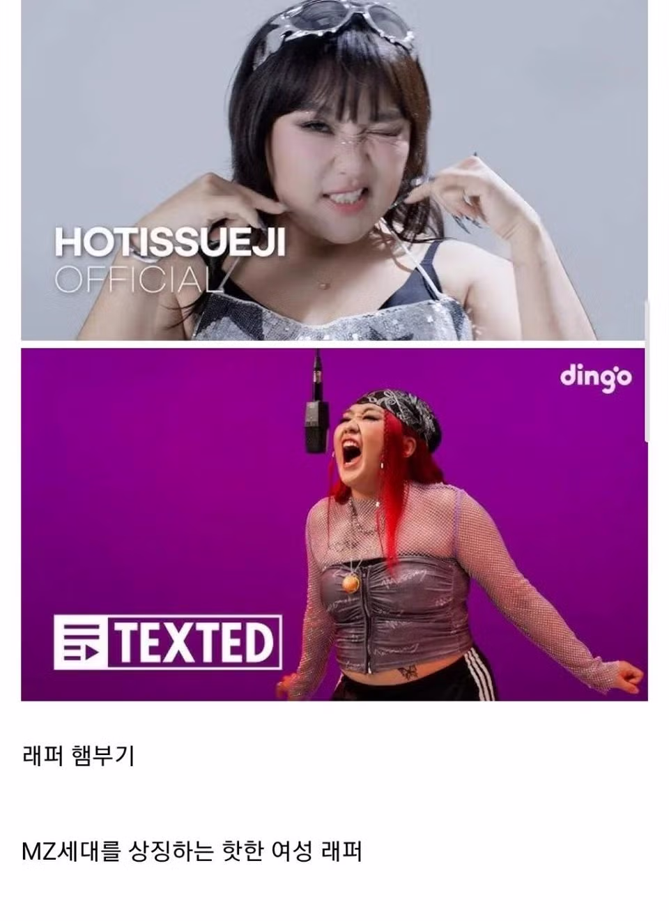 현 대한민국에서 폼 원탑이라는 코미디언.jpg 5