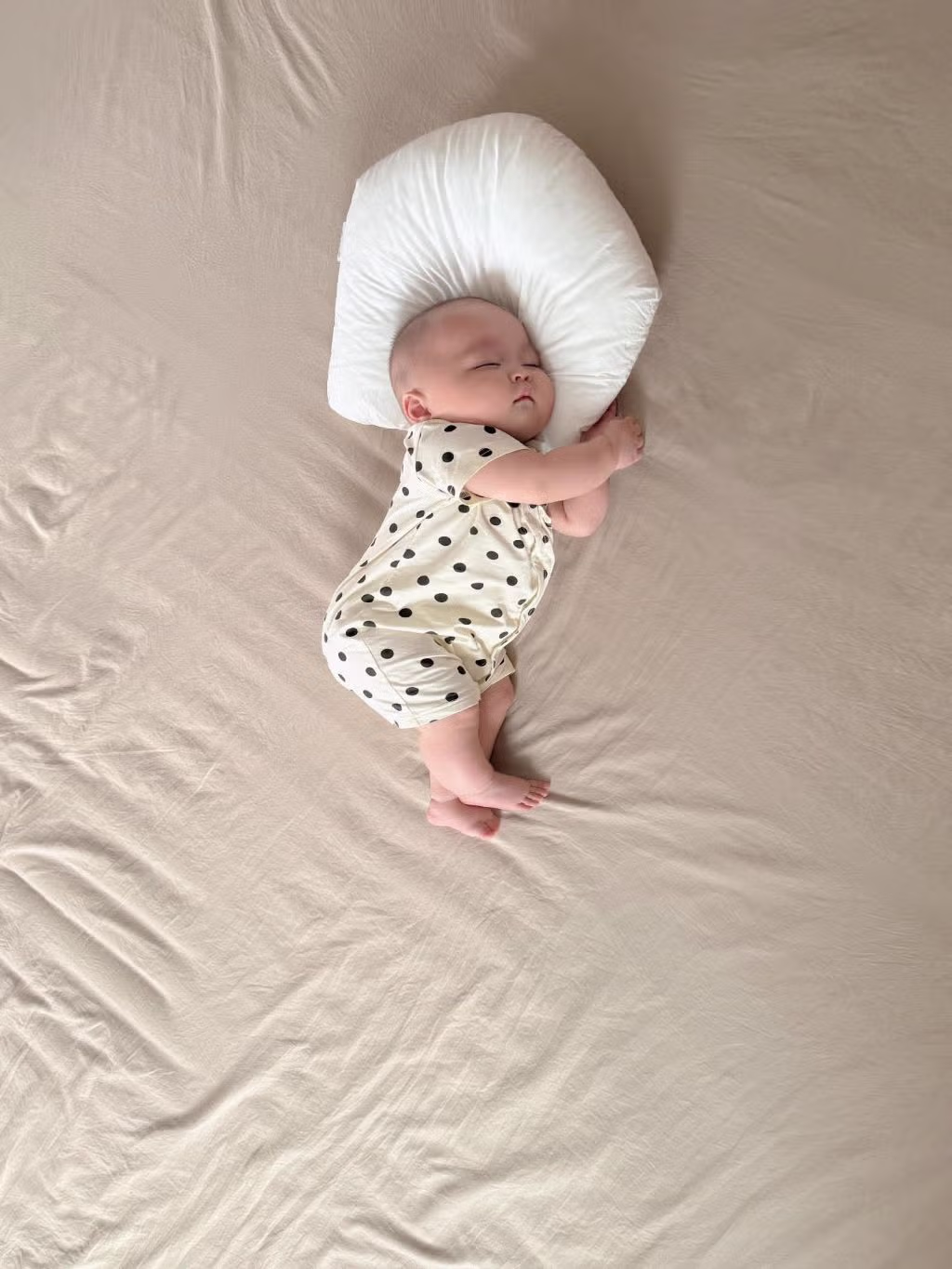 진짜 강낭콩 같아ㅋㅋ어떻게 이렇게 자냐 2