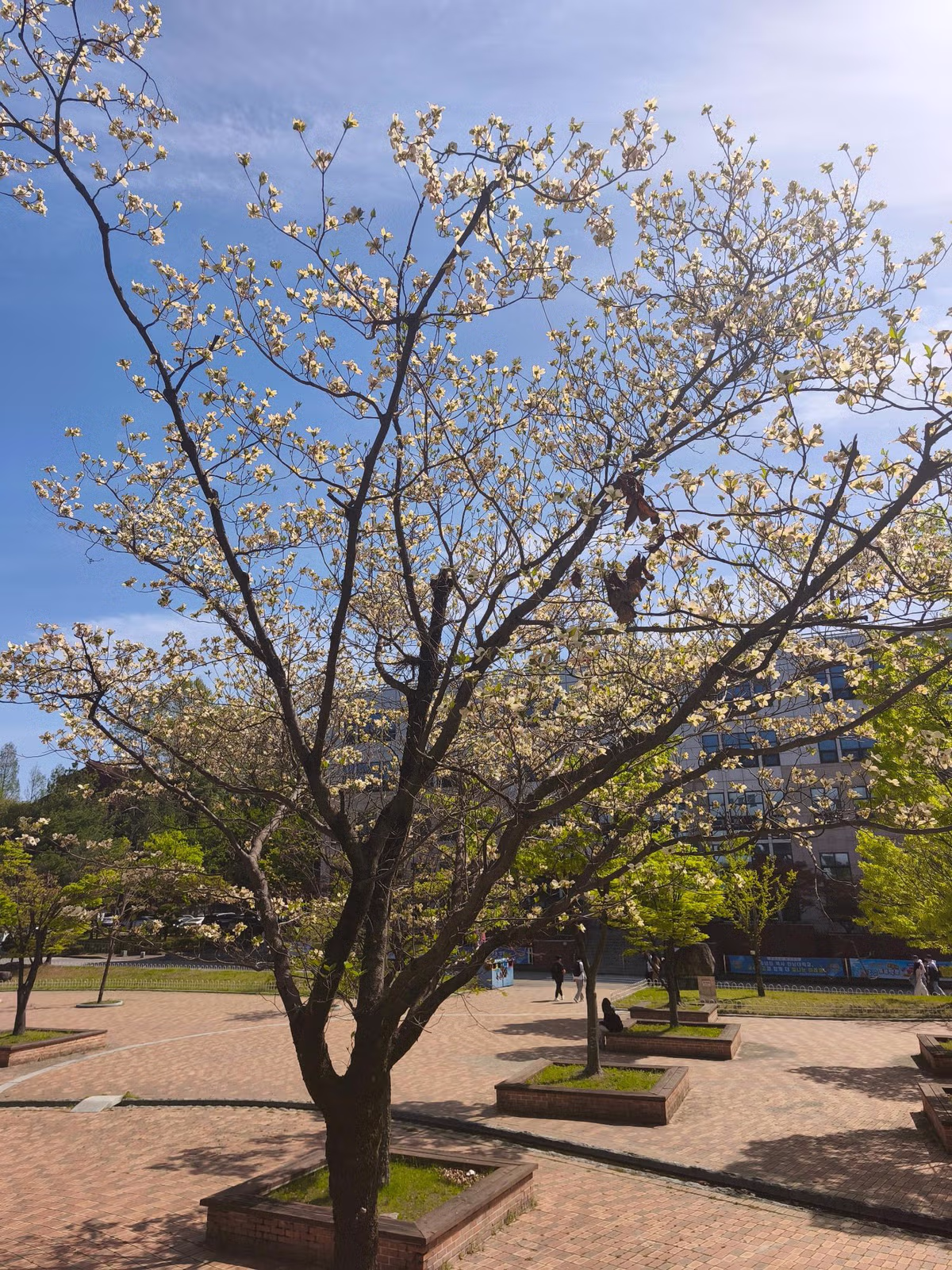 현재 한남대학교 풍경 jpg 14