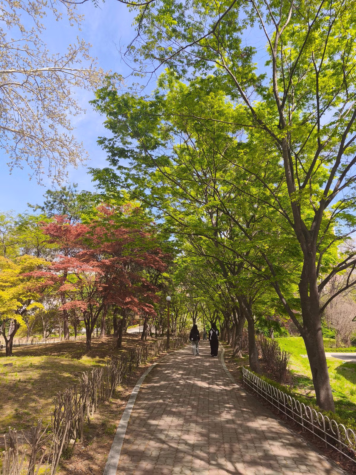 현재 한남대학교 풍경 jpg 15