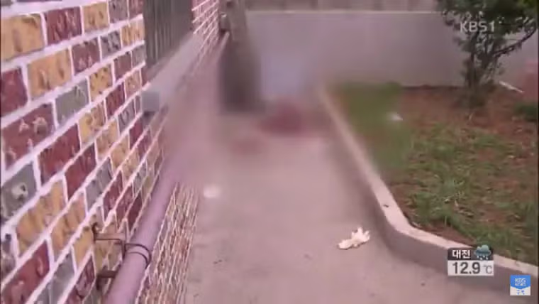 역대급 거짓말로 벌어진 끔찍한 사건...jpg 5