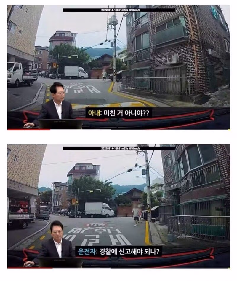 " 난리난 고양이 교통사고 " ㄷㄷㄷㄷㄷㄷ;;;; 2