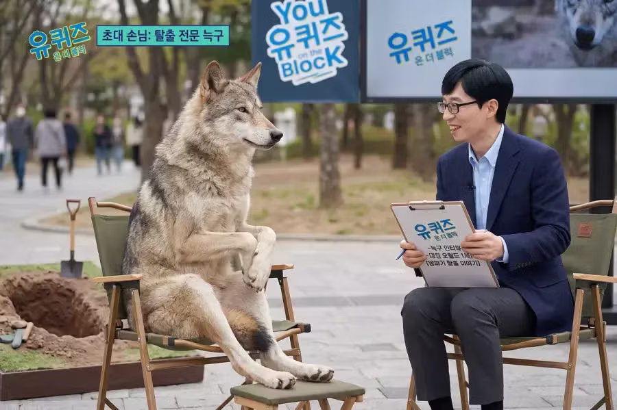 늑구 돌아온 대전 오월드 풍경 예상 2