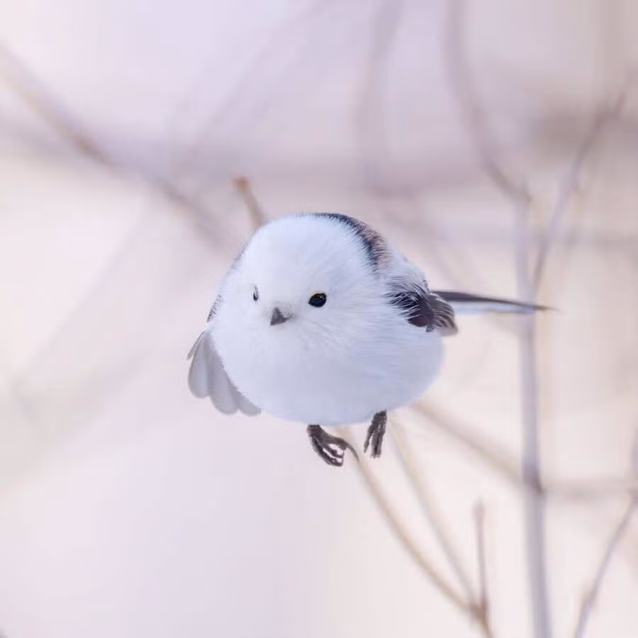 레딧을 뜨겁게 달구고 있는 귀요미 3