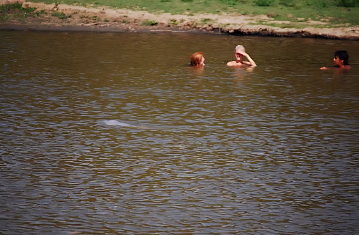 아마존에서 서양ㅊㅈ들과 수영 한 썰 jpg 3