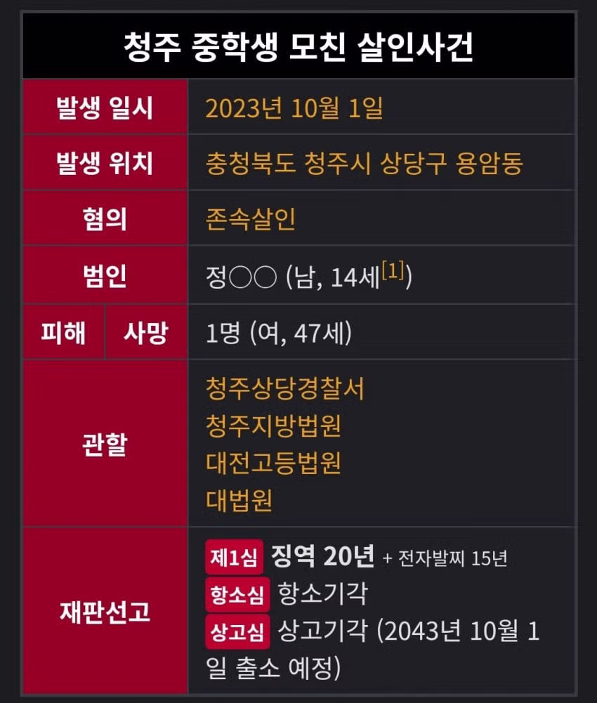 엄마를 살해한 중학생 8