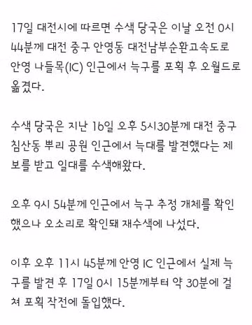 대전 탈출 늑대 '늑구' 열흘 만에 생포 성공…건강 이상 없어 2